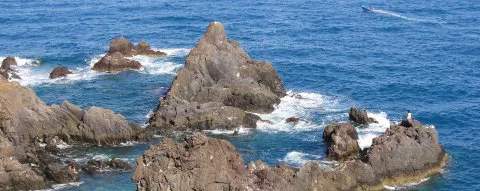 141-MADEIRA DSC02064