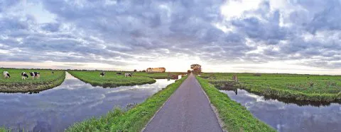 161-KRIMPENERWAARDSE POLDER DSC01802