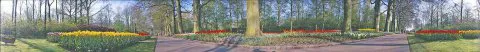 202-Keukenhof 408